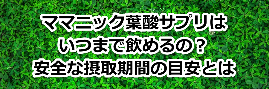 �}�}�j�b�N�t�_�T�v���͂��܂ň��߂�́H���S�Ȑێ���Ԃ̖ڈ��Ƃ�